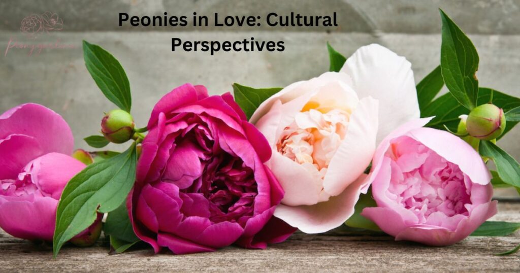 Peonies in Love: Cultural Perspectives