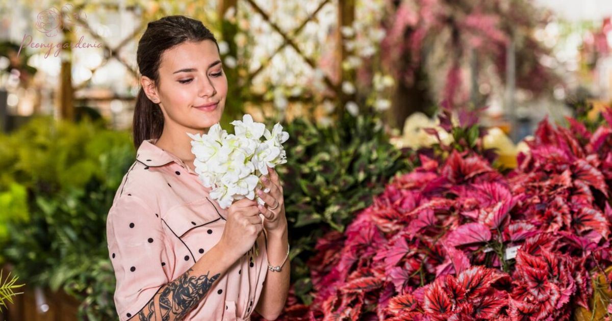 Who Is Fragrance in The Peony Pavilion? Unveiling the Enigmatic Character