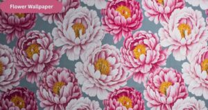 Flower Wallpaper