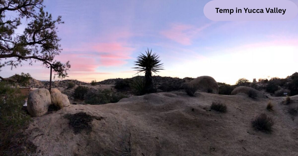 Temp in Yucca Valley